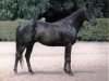 stallion Carnoustie xx (Thoroughbred, 1956, from Dante xx)