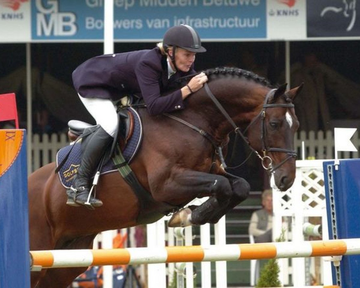 Deckhengst Koriander (Holsteiner, 1992, von Contender)
