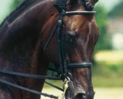 stallion Seigneur d'Alleray xx (Thoroughbred, 1987, from Miliar xx)