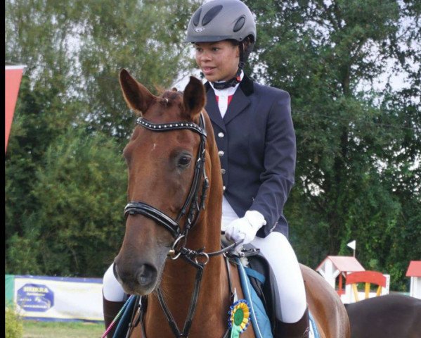 jumper Raminus Last Son (German Sport Horse, 2008, from Raminus)