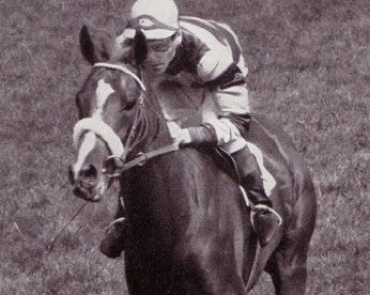 stallion Exbury xx (Thoroughbred, 1959, from Le Haar xx)