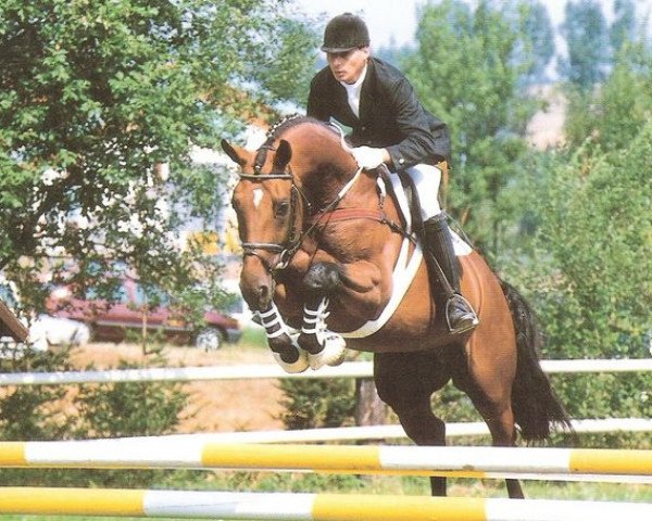 stallion Lord Extra (Bavarian, 1987, from Lord)