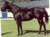 stallion Home Guard xx (Thoroughbred, 1969, from Forli xx)
