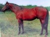 stallion Kalydon xx (Thoroughbred, 1956, from Alycidon xx)