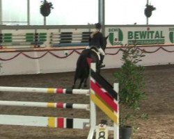 jumper Charmeur G. (KWPN (Royal Dutch Sporthorse), 2007, from Veneur)