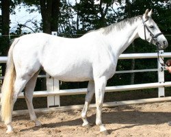 broodmare Eileen (Zweibrücken, 1998, from Eros AA)