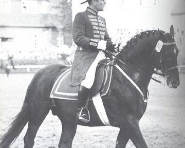 stallion Wunsch II (Hanoverian, 1957, from Woehler)