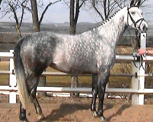 broodmare Espada (Zweibrücken, 1997, from Eros AA)