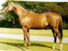 stallion Vitiges xx (Thoroughbred, 1973, from Phaeton xx)