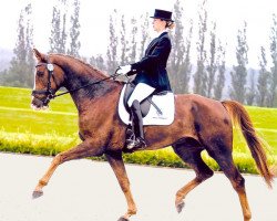 dressage horse Fairytale 47 (Oldenburg, 2006, from Florencio I)