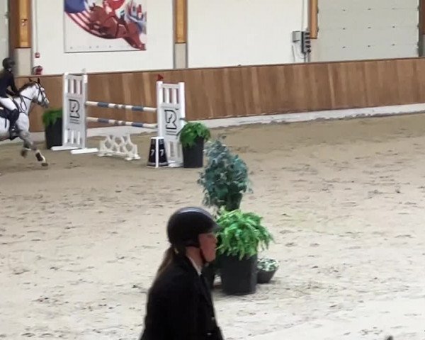Reitturnier Riesenbeck 2022