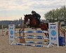 jumper Monte Bella 5 (German Sport Horse, 2010, from Monte Bellini)