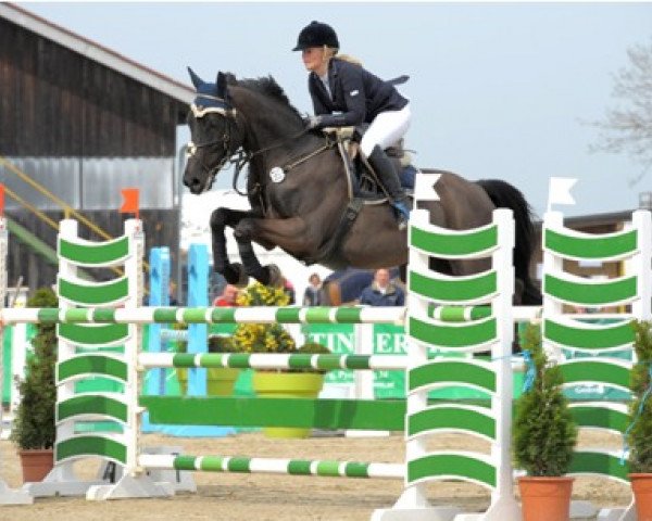 jumper Jonny Jun (Bavarian, 2002, from Expert)