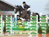 jumper Jonny Jun (Bavarian, 2002, from Expert)