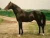 stallion Dakota xx (Thoroughbred, 1971, from Stupendous xx)