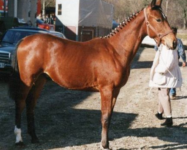 jumper Pienot (Württemberger, 1987, from Pionier)