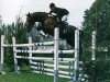 jumper Columbus (KWPN (Royal Dutch Sporthorse), 1984, from Lucky Boy xx)