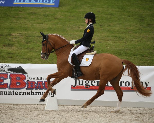 dressage horse Daddy's Daydream (German Riding Pony, 2007, from FS Don't Worry)