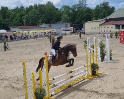 jumper Faramo T (German Riding Pony, 2012, from For Next Generation)