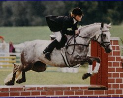 Zuchtstute Schönbrunn Umbra (Deutsches Reitpony, 1986, von Drayton Bubbling Gold)