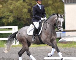 broodmare Krottenthal's Unkenelfe (German Riding Pony, 2004, from Depardieu)