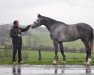 Pferd Chaman Dumontceau (Selle Français, 2012, von Top Berlin du Temple)