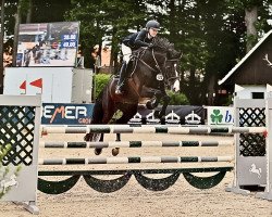 broodmare Collado's Barbie H (Oldenburg show jumper, 2014, from Collado)