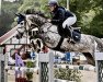 jumper Zara Berlin (Oldenburg show jumper, 2014, from Casino Berlin OLD)