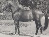 stallion Arianer (Westphalian, 1967, from Aristides)