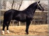 stallion Epos (Heavy Warmblood, 1986, from Eros Mo)