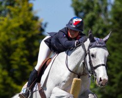 Zuchtstute Dame Blanche van Arenberg (Belgisches Warmblut, 2003, von Clinton)