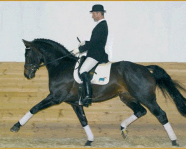 stallion Friendship (Westphalian, 1997, from Florestan I)