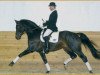 stallion Friendship (Westphalian, 1997, from Florestan I)