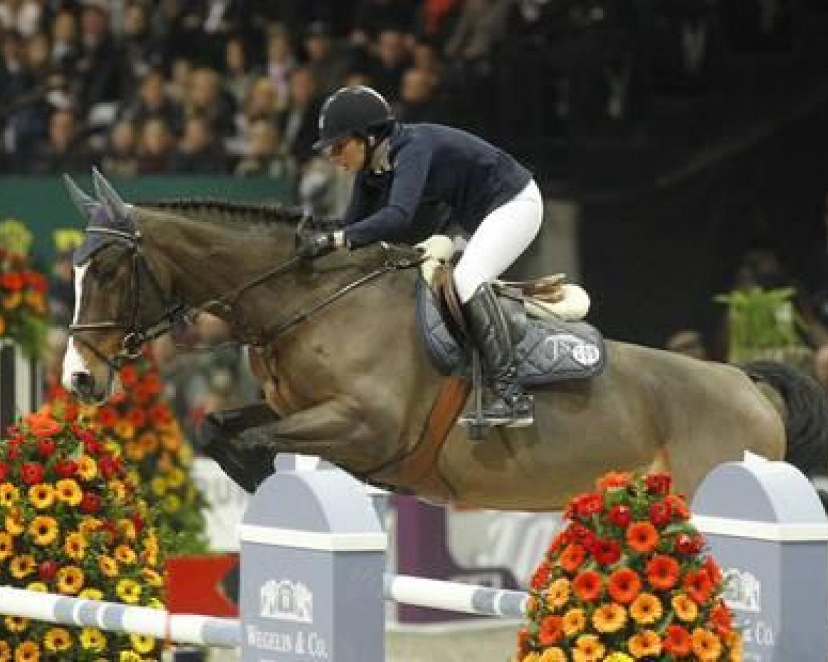 Springpferd Uptown Boy (KWPN (Niederländisches Warmblut), 2001, von Odermus R)