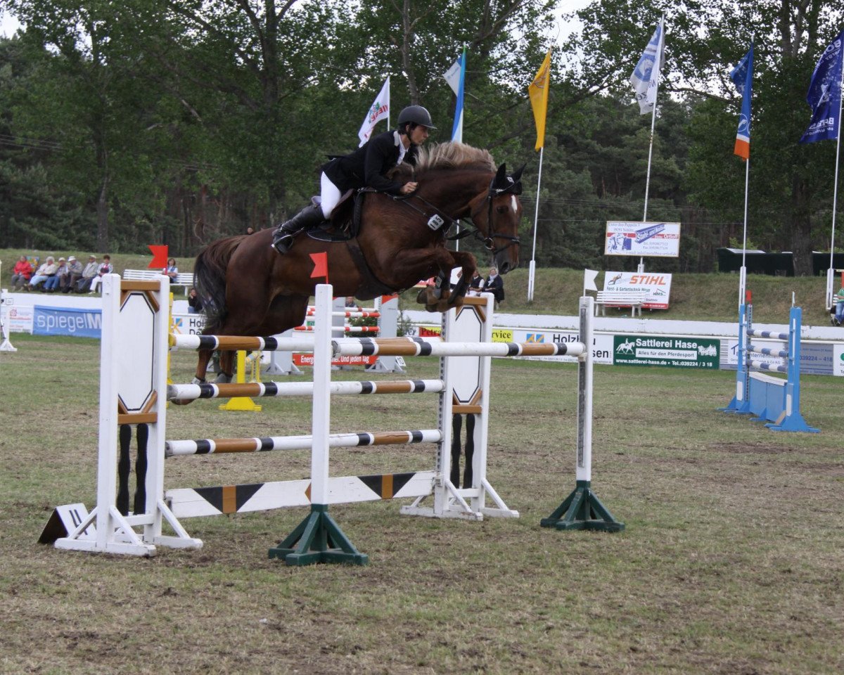 broodmare Cf's Curly Sue (German Sport Horse, 2004, from Cassandro 10)