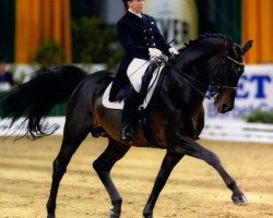 stallion Lagoheidor G (Oldenburg, 1992, from Landadel)