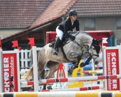 jumper Cascaluna de La montagne (Hanoverian, 2016, from Cascalido)