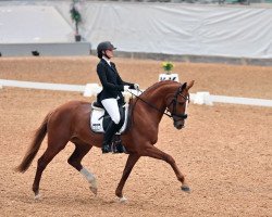 dressage horse Lynchberg Lemonade S (German Sport Horse, 2015, from Licotus)