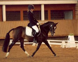 dressage horse Cloud Dancing HH (German Riding Pony, 2002, from FS Cocky Dundee)