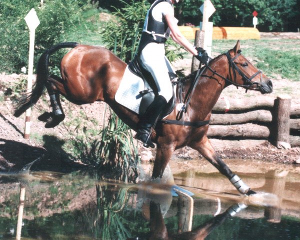 broodmare Nigel Nawa (German Riding Pony, 1993, from Nacota)