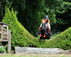 broodmare Pagena (German Riding Pony, 2000, from FS Pour l'Amour)