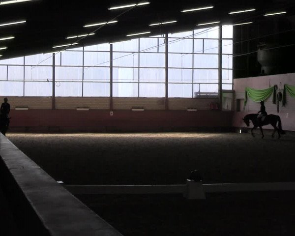Reitturnier Hellefeld 2022