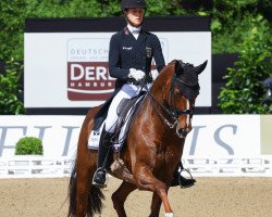 dressage horse Du Ciel 2 (Württemberger, 2008, from Don Diamond)