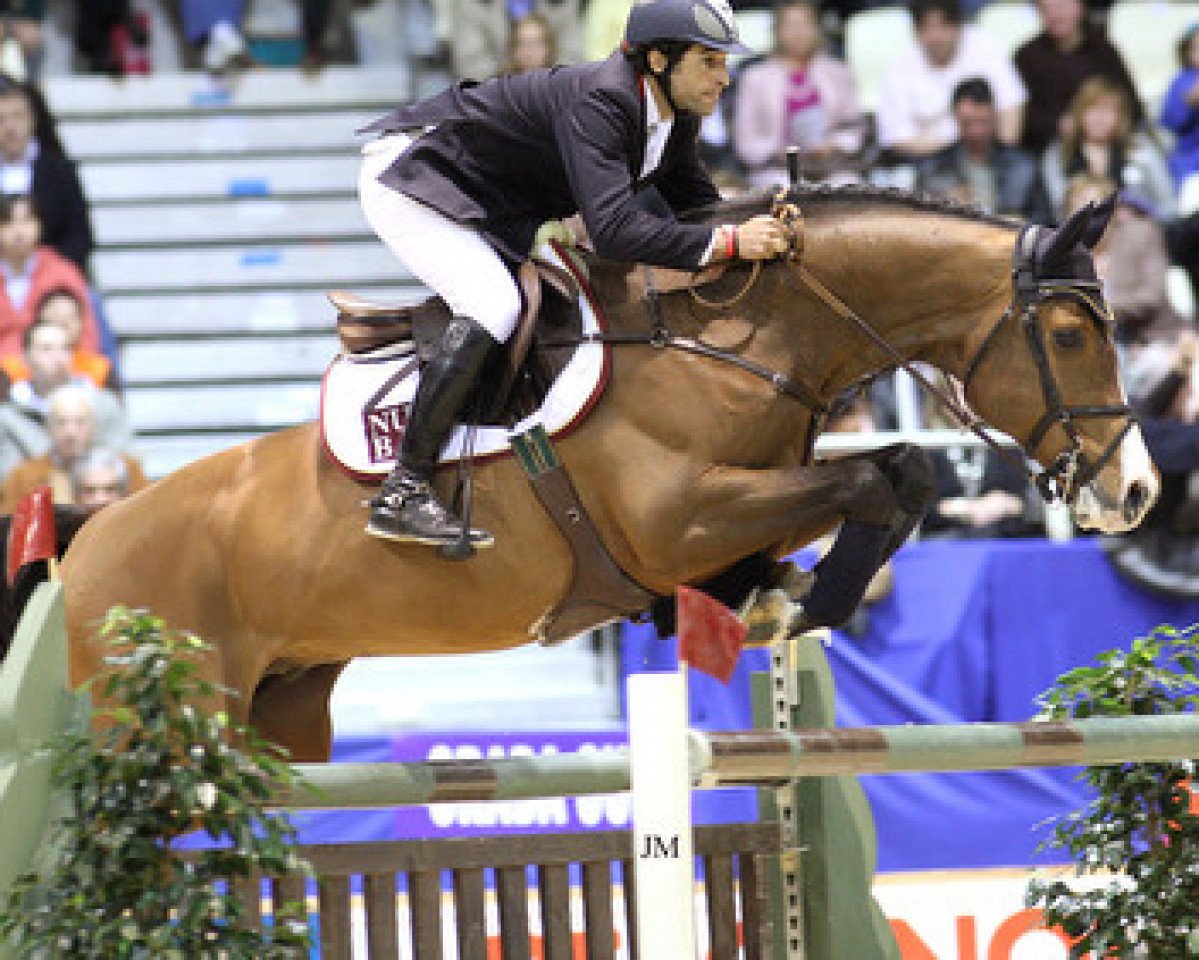 stallion Canabis Z (Holsteiner, 1995, from Contender)