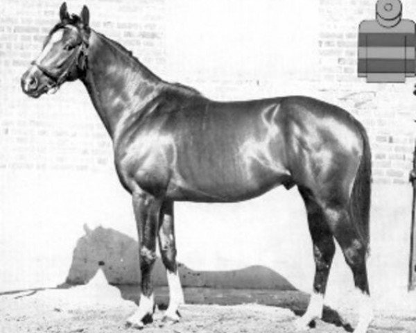 stallion Val de Loir xx (Thoroughbred, 1959, from Vieux Manoir xx)