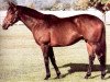 stallion Val de L'Orne xx (Thoroughbred, 1972, from Val de Loir xx)