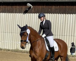 dressage horse Lady Hübschi (Mecklenburg, 2010, from Lonely Boy)