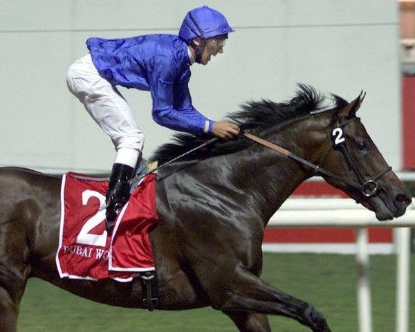 stallion Dubai Millennium xx (Thoroughbred, 1996, from Seeking the Gold xx)