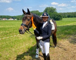 dressage horse Feine Liebe 5 (Hanoverian, 2018, from Fürstenball)