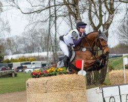 jumper Käpt'n Balou (KWPN (Royal Dutch Sporthorse), 2015, from Genius)